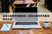 应用小程序开发服务商（应用小程序开发服务商怎么选）